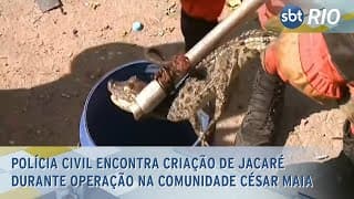 Polícia Civil encontra criação de jacaré durante operação na comunidade César Maia