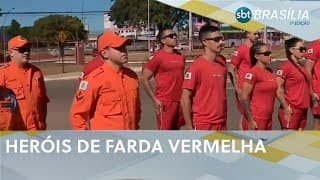 Hoje é dia nacional do corpo de bombeiros no Brasil | SBT Brasília 1ª edição