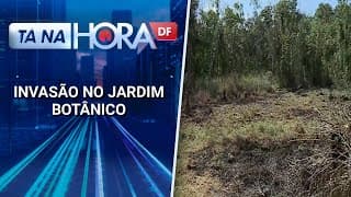 Moradores denunciam alto desmatamento em área de proteção ambiental | Tá na hora DF