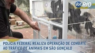 Polícia Federal realiza operação de combate ao tráfico de animais em São Gonçalo