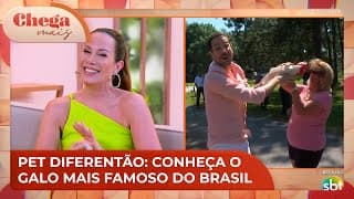 Pet diferentão: galo joga bola e anda de bicicleta com a dona | Chega Mais (19/11/24)