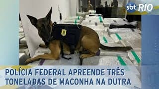 Polícia Federal apreende três toneladas de maconha na Dutra