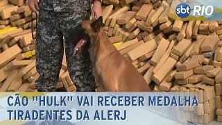Cão "Hulk" vai receber medalha tiradentes da ALERJ