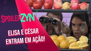 #SpoilerZYN: Capítulos 258 ao 260 | A Caverna Encanta
