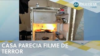 Idosas eram mantidas em cárcere privado com 15 cães no Gama | SBT Brasília 1ª ed