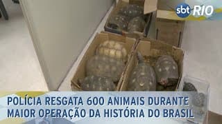 Polícia resgata 600 animais durante maior operação da história do Brasil