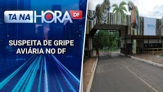 Zoológico é fechado após aves serem encontradas m0rtas | Tá na hora DF