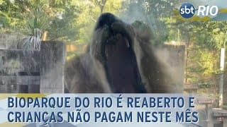 BioParque do Rio é reaberto e crianças não pagam neste mês