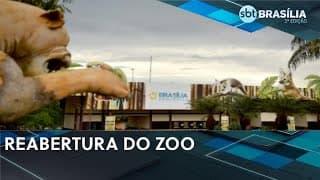 Zoo de Brasília reabre na próxima segunda após crise de gripe aviária | SBT Brasília 2ª edição