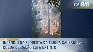 Incêndio na Floresta da Tijuca causado por queda de balão está extinto