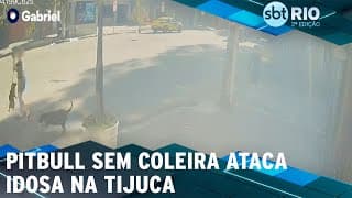 Pitbull sem coleira ataca idosa na Tijuca