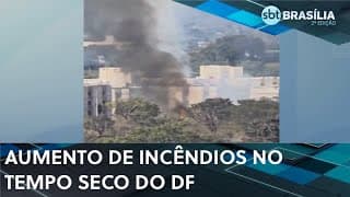 DF já teve 549 incêndios florestais só nesse ano | SBT Brasília 2ª ed