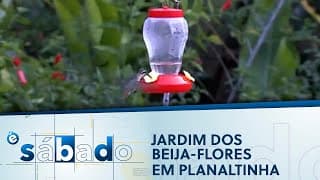 Jardim dos Beija-Flores em Planaltinha (DF)  | É Sábado 18/06/2022