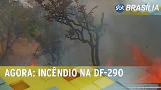 Atenção: Grande incêndio na altura da DF-290 | SBT Brasília