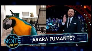 Arara é resgatada após ser atraída por cigarros | The Noite (08/05/25)