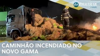 Suspeito de colocar fogo em carreta no Novo Gama é preso | SBT Brasília 1ª ed