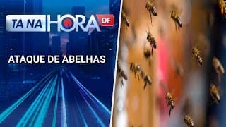 Duas mulheres são atacadas por abelhas no meio da rua em Samambaia | Tá na hora DF