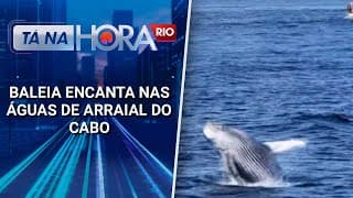 Baleia encanta nas águas de Arraial do Cabo