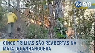 Cinco trilhas são reabertas na mata do Anhanguera