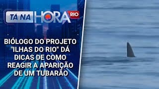 Biólogo do projeto "Ilhas do Rio" dá dicas de como reagir a aparição de um tubarão