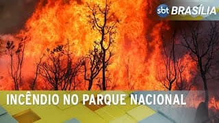 Combate ao fogo no parque nacional chega a 72 horas | SBT Brasília