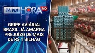 Gripe Aviária: Brasil já amarga prejuízo de mais de R$ 1 bilhão