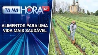 Produção de alimentos orgânicos aumenta no DF | Tá na hora DF