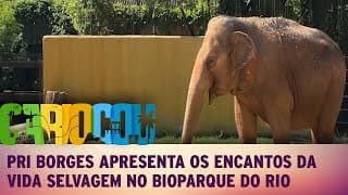 Pri Borges apresenta os encantos da vida selvagem no BioParque do Rio