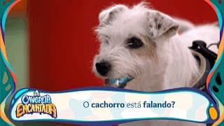 Cachorro de Betina como o Diamante Falante de Safira | A Caverna Encantada