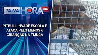 Pitbull invade escola e ataca pelo menos 6 crianças na Tijuca