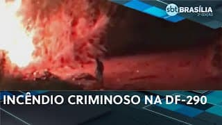 Homem é preso em flagrante pela PM por atear fogo em mata na DF-290 | SBT Brasília 2ª ed