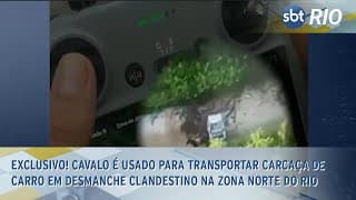EXCLUSIVO! Cavalo é usado para transportar carcaça de carro em desmanche clandestino na Zona Norte