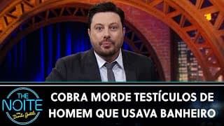 A cobra surgiu do vaso sanitário e mordeu o p4u do homem | The Noite (25/09/24)