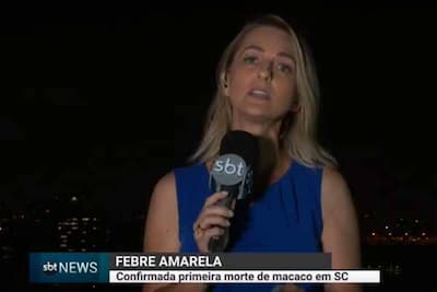 Febre amarela: confirmada a primeira morte de macaco em SC