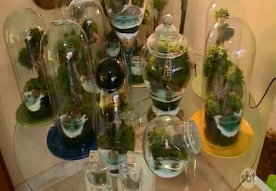 Vida em estado bruto: como um apaixonado pela natureza aprendeu a fazer arte com os microjardins