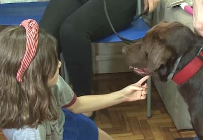 Cachorro que ajudou em Brumadinho vira peça fundamental na alfabetização