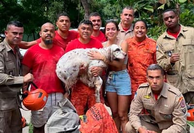 Cachorro de Anitta é  resgatado com a ajuda de bombeiros