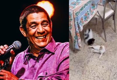 Zeca Pagodinho faz apelo após desaparecimento de gatinha; veja