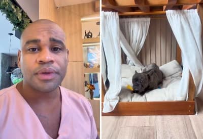 Cezar Black encontra sofá destruído pelo cachorro e diverte a web