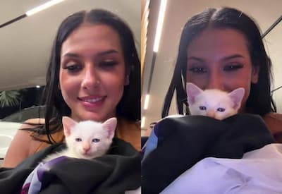 Ana Castela mostra novo gatinho e brinca com a madrugada de cuidados: "Agora que eu sou mãe"