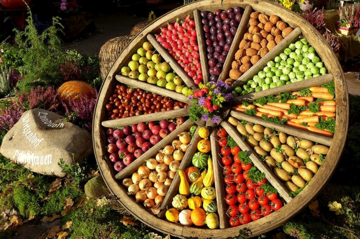 Roda de alimentos saudáveis 