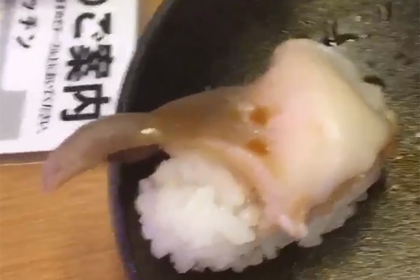 Sushi que ainda se mexe