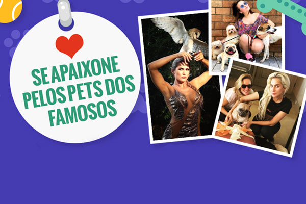 arte com fotos dos pets e famosos escrita se apaixone pelos pets dos famosos