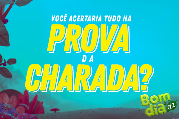 arte em que está escrito Você acertaria tudo na Prova da Charada do Bom Dia &   Cia?