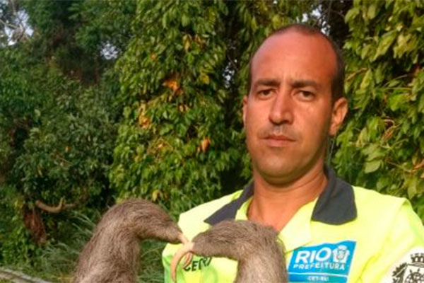 Preguiça resgatada pela CET Rio