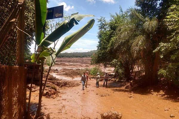brumadinho 