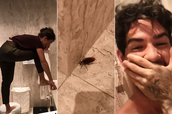 Rebeca Abravanel com medo de barata e Alexandre Pato dando risada