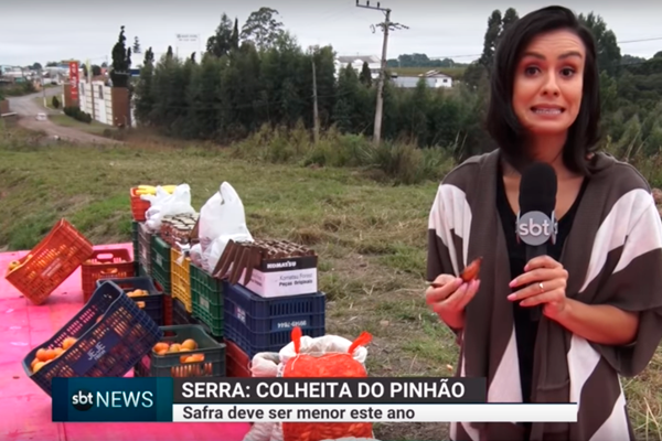 pinhão