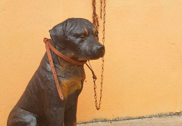 o cachorro de plástico que foi confundido com animal de verdade