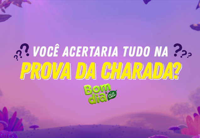 arte em que está escrito você acertaria tudo na prova da charada?